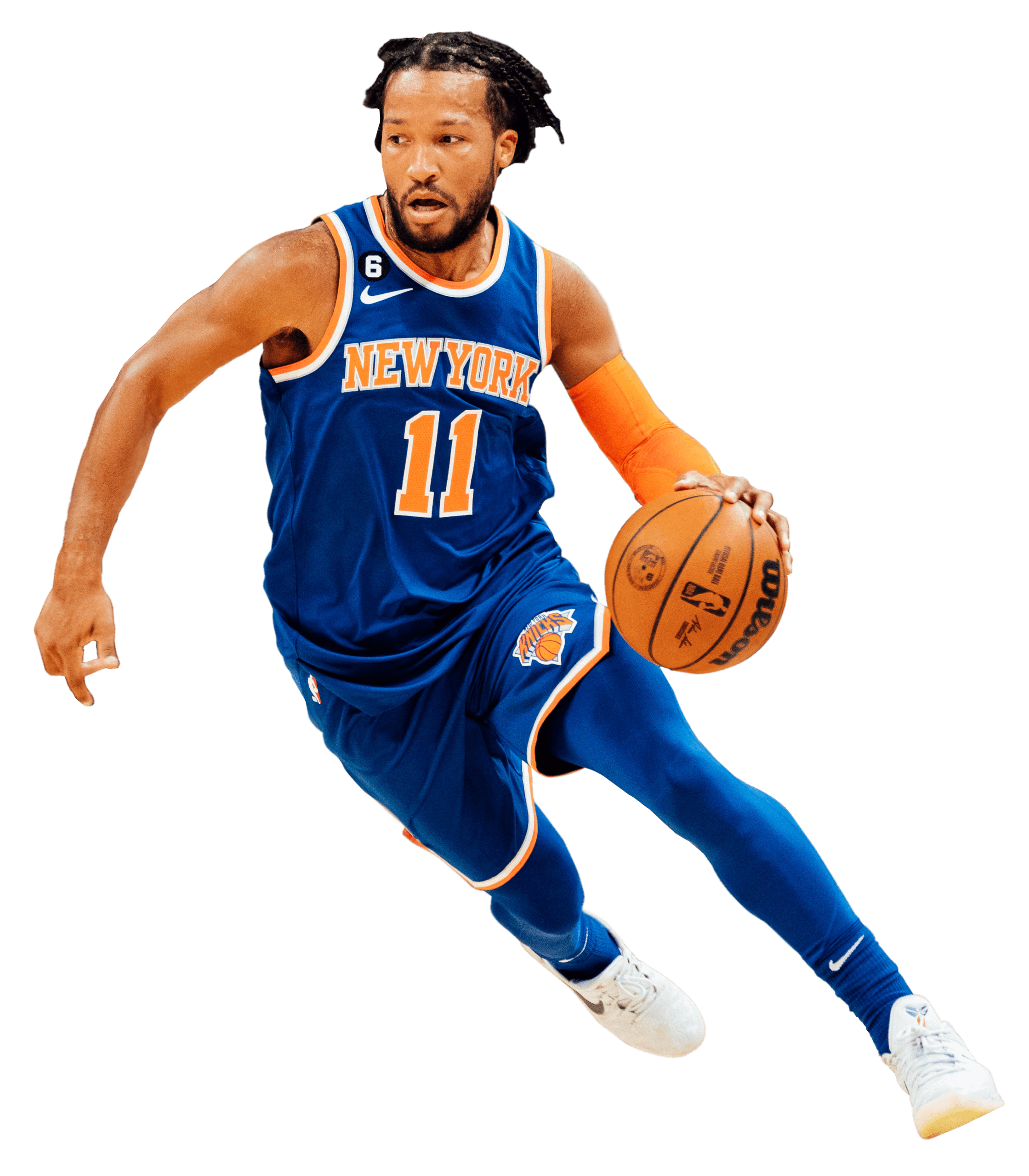 Jalen Brunson portrait
